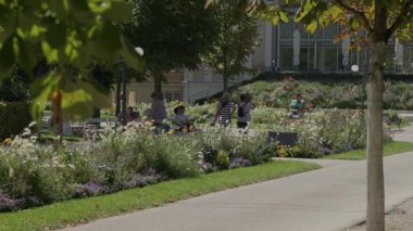 Yazın kötü Ischl Kurpark spa bahçeleri. Yüksek kalite 4k görüntü