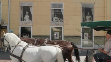 Bad Ischl, Yukarı Avusturya 'da at arabası. Yüksek kalite 4k görüntü