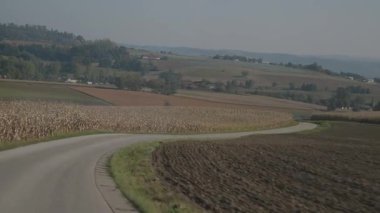 Avusturya 'daki tarımsal tarlalar arasındaki kırsal viraj yolu. Yüksek kalite 4k görüntü