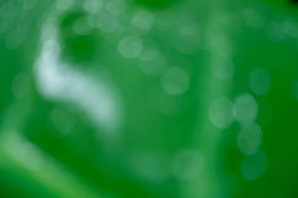 緑の葉の上の雨滴の背景の質感を強調 — ストック写真