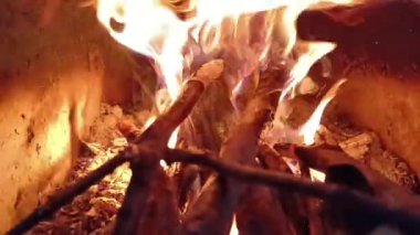 Burning dry wood in fireplace 