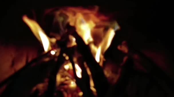 Defocused Background Burning Dry Wood — Stok video