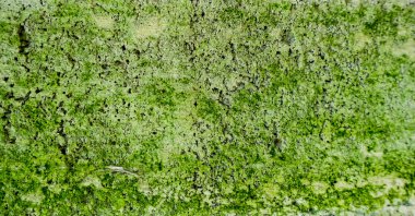 Taşın arkaplan dokusu yakın plan resmi, eşsiz renk, doku ve desen, kaya dokusu grafik tasarımı.