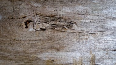 Ahşap materyalin arkaplan dokusu yakın plan resmi, eşsiz renk, doku ve desen, grafik tasarımı .