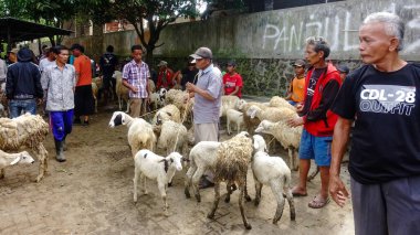 Muntilan, Magelang, Central Java, Endonezya, 06 / 03 / 2023, Yurtiçi Sığır Pazarı Resimleri, Çiftlik keçisi, koyun ve inek, Kurban Bayramı kutlamalarında satıcı ve alıcılarla dolu bir yer.