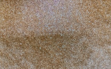 Mermer granit soyut arkaplan, duvar yüzeyi siyah desen grafikleri, zemin seramik tezgâh dokusu için soyut açık gri taş levha pürüzsüz doğal fayans..