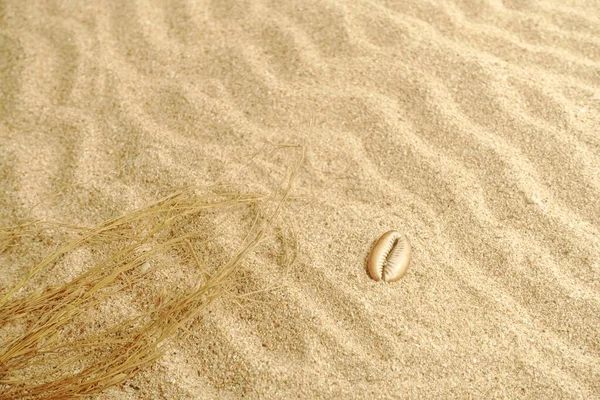 具有海壳和波浪图案的海滩上沙子的背景纹理 夏季的氛围 背景和墙纸的设计 — 图库照片