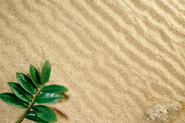 具有海壳和波浪图案的海滩上沙子的背景纹理 夏季的氛围 背景和墙纸的设计 — 图库照片