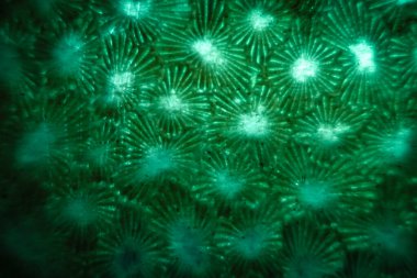 Geleceksel kırmızı arkaplan tasarımı, soyut arkaplan yeşili, ve ızgara desenli kırmızı ışık, bulanık arkaplan, boş alan