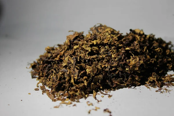 Tabak Der Zur Herstellung Von Zigaretten Verwendet Werden Kann — Stockfoto