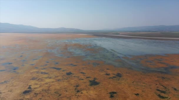 Aerial View Dried Land Marmara Lake Flamingos Sticking Beaks Sand — ストック動画