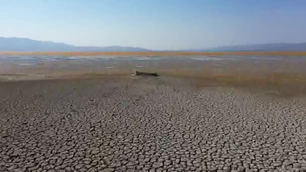 Aerial View Dried Land Marmara Lake Flamingos Sticking Beaks Sand — Wideo stockowe