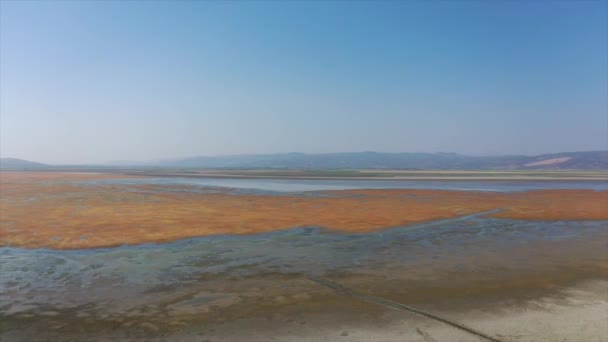 Aerial View Dried Land Marmara Lake Flamingos Sticking Beaks Sand — Video Stock