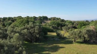 Teos Ancient City Drone Video, Seferihisar Izmir Turkey. High quality FullHD footage
