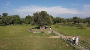 Teos Ancient City Drone Video, Seferihisar Izmir Turkey. High quality FullHD footage