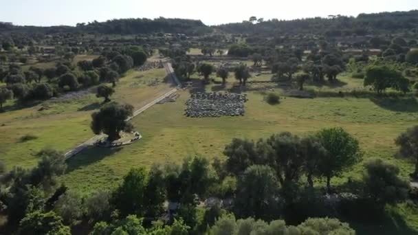 Teos Ancient City Drone Video Seferihisar Izmir Turkey Високоякісні Кадри — стокове відео