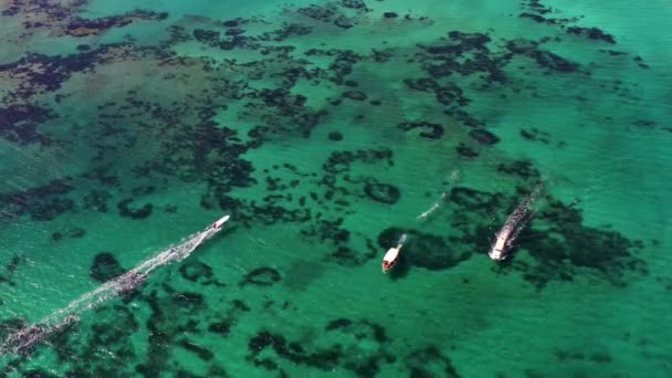 Aerial Shot Boats Sailing Blue Clear Waters Aegean Sea High — Stock Video