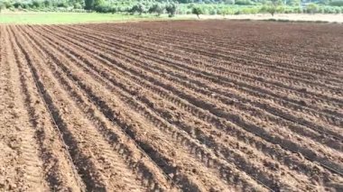 Zirai alanda sürülmüş toprak ve sulama için hortumlar, 4k insansız hava aracı görüntüsüyle yeryüzü manzarası görüntüsüyle çizilmiş.