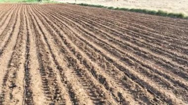 Zirai alanda sürülmüş toprak ve sulama için hortumlar, 4k insansız hava aracı görüntüsüyle yeryüzü manzarası görüntüsüyle çizilmiş.