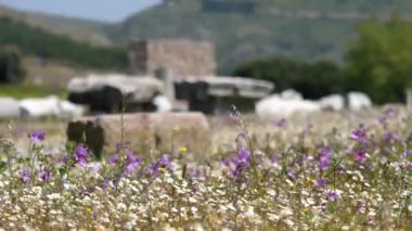 Antik Asklepion şehrindeki tarihi nesnelerin detaylı görüntüsü. Yüksek kalite 4k görüntü