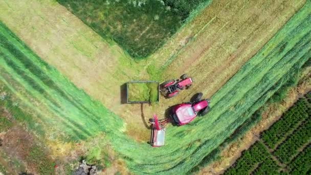 Flygfoto Skördare Som Lastar Alfalfa Släpvagnar Begreppet Traktor Skörd Drönare — Stockvideo