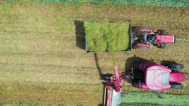 Luftaufnahme Von Erntemaschinen Die Luzerne Auf Anhänger Verladen Konzept Traktor — Stockvideo