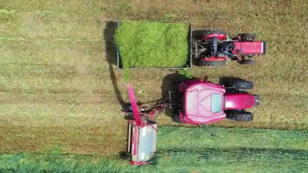 Aerial Shot Harvesteri Lastaus Sinimailanen Perävaunuihin Konsepti Traktori Harvest Drone — kuvapankkivideo
