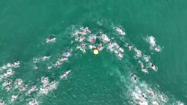Widok Lotu Ptaka Pływaków Wyścigowych Morzu — Wideo stockowe