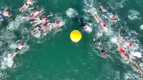 Aerial View Swimmers Racing Sea — Stock Video