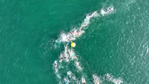 Aerial View Swimmers Racing Sea — Stock Video