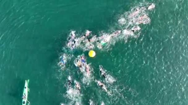 Uitzicht Vanuit Lucht Zwemmers Die Zee Racen — Stockvideo