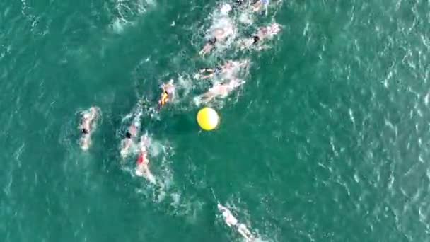 Letecký Pohled Plavce Závodící Moři — Stock video
