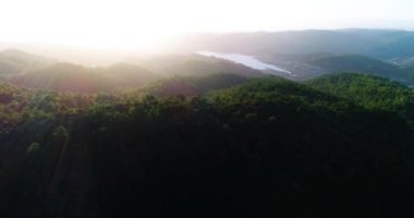 Gün doğumunda orman, göl ve güneş manzarası. Yüksek kalite 4k görüntü