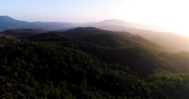 Gün doğumunda orman, göl ve güneş manzarası. Yüksek kalite 4k görüntü