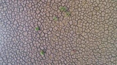 Kurumuş ve çatlamış toprak, suyu çekilen gölün kurumuş toprağı, çatlamış kum dokusu, drone ile havadan çekilen. Yüksek kalite 4k görüntü