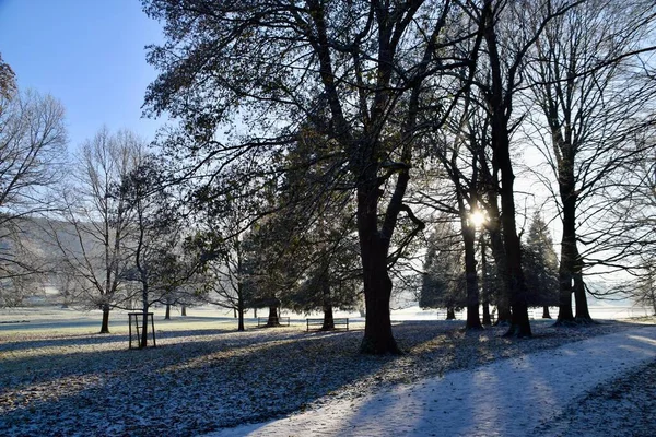 Зимовий Етап Дербішир Велика Британія Дерев Яна Лавка Морозяним Полем — стокове фото