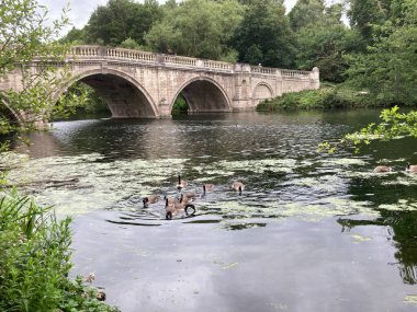 Worksop, Nottinghamshire, UK. July 3, 2020. Clumber lake with stone bridge over. 