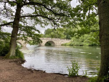 Worksop, Nottinghamshire, UK. July 3, 2020. Clumber lake with stone bridge over. 