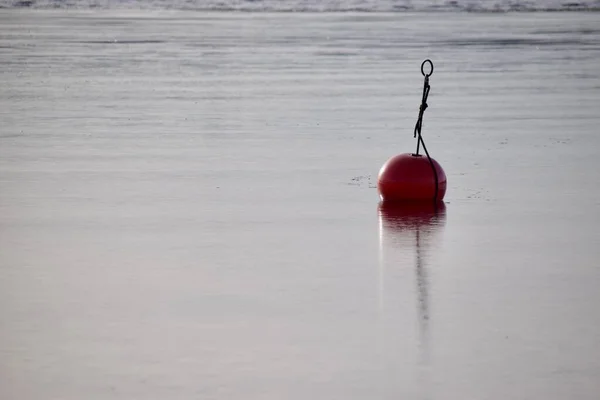 stock image Red Bouy floating on calm waters. Norway, Feb 2023. 