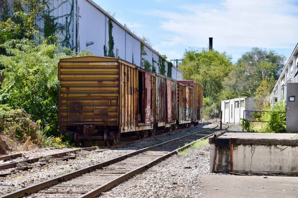 Revestimiento Del Ferrocarril Con Vagones Mercancías Esperando Nashville Septiembre 2019 —  Fotos de Stock