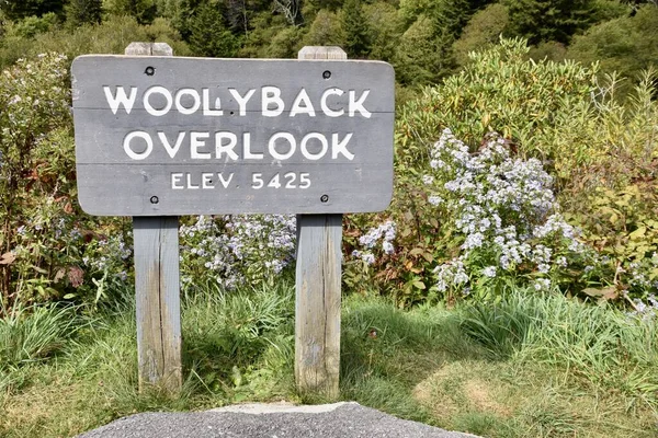 Woolyback Overlook Maggie Valley Blue Ridge Parkway Smoky Mountains Septiembre —  Fotos de Stock