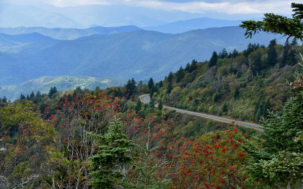 Panoramisch Uitzicht Great Smoky Mountains Verenigde Staten Heuvels Met Bomen — Stockfoto