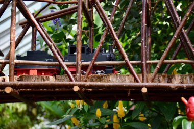 Biltmore Village, Asheville, ABD. 27 Eylül 2019. Biltmore Bahçeleri Demiryolu Sergisi. Çalışan bir Model Tren. 