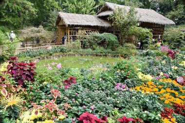 Suzhou, Jiangsu, Çin. 26 Ekim 2018. Geleneksel Çin binaları ve mütevazı yönetimin bahçesindeki çiçek bahçesi.