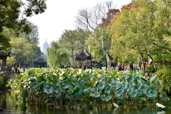 Suzhou Jiangsu Čína Října2018 Tradiční Čínské Budovy Lotosové Rostlinné Jezero — Stock fotografie