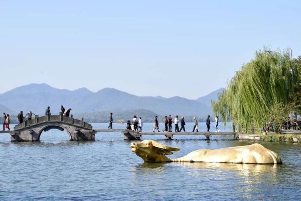 Золотой Буффало Выходящий Западного Озера Мостом Людьми Позади Ханчжоу Чжэцзян — стоковое фото