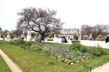 Louvre Müzesi 'nin dışındaki resmi bahçeler, Paris, Fransa, Mart 2023. 