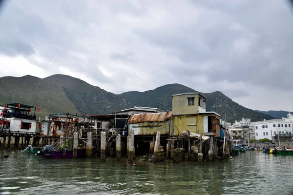 Tai Fishing Village Гонконг Ноября 2018 Года Ошибки Стилтс — стоковое фото