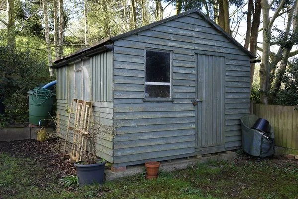 Arkasında ağaçlar ve çimenler olan bir çitin yanındaki yeşil kır bahçesi.. 