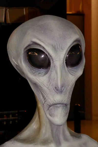 Alien Head Στο Μουσείο Ufo Και Ερευνητικό Κέντρο Ρόσγουελ Ηπα — Φωτογραφία Αρχείου